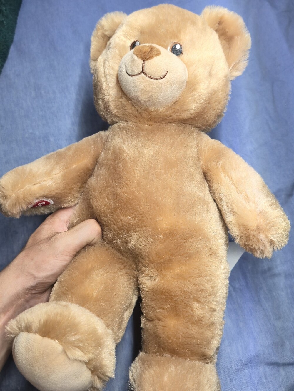Lil' Cub Brownie Teddy Bear Build-A-Bear Workshop